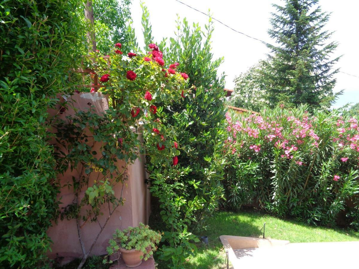 Apartment Golf Dojran Buitenkant foto